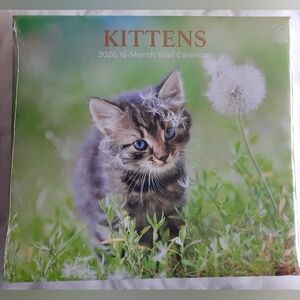 Brand new 2026 Kittens Calendar